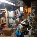 Shelves Before